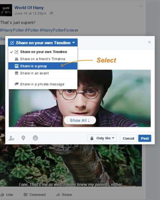 How to Promote a Dropshipping Store on Facebook Dropshipping on Facebook: choosing the "Share in a group" option