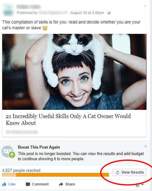 Facebook post boost - View Results