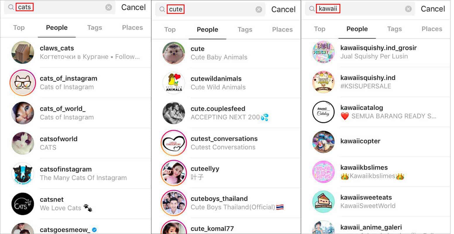 How to find Instagram accounts for shoutout