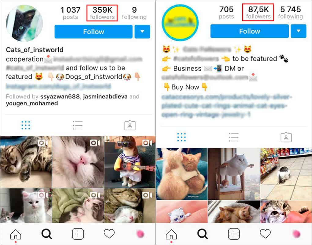 Number and quality of followers