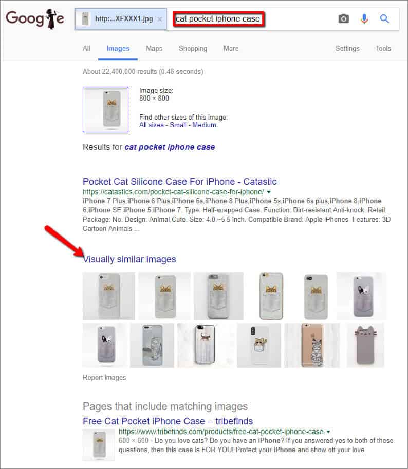 Search results showing images similar to the cat in a pocket iPhone case missing on AliExpress