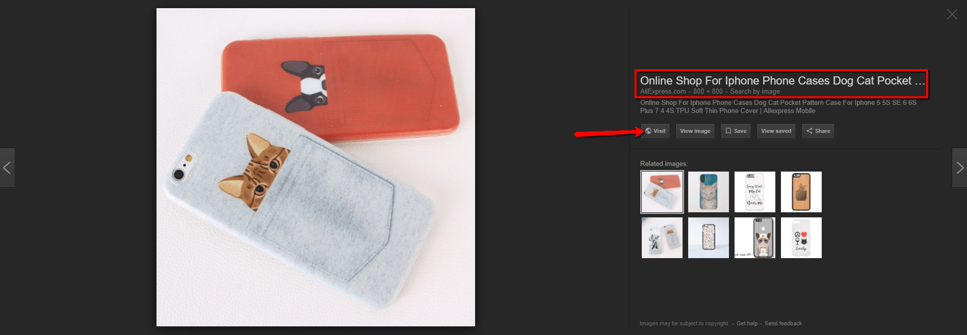 Search results of images similar to the cat in a pocket phone case with a link to an online retailer