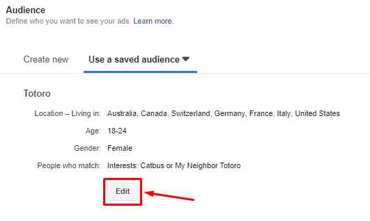 edit Facebook audience