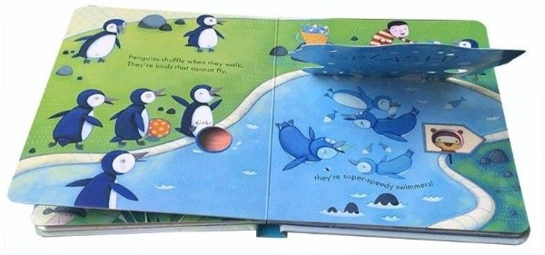 dropship-books-flap-book.jpg
