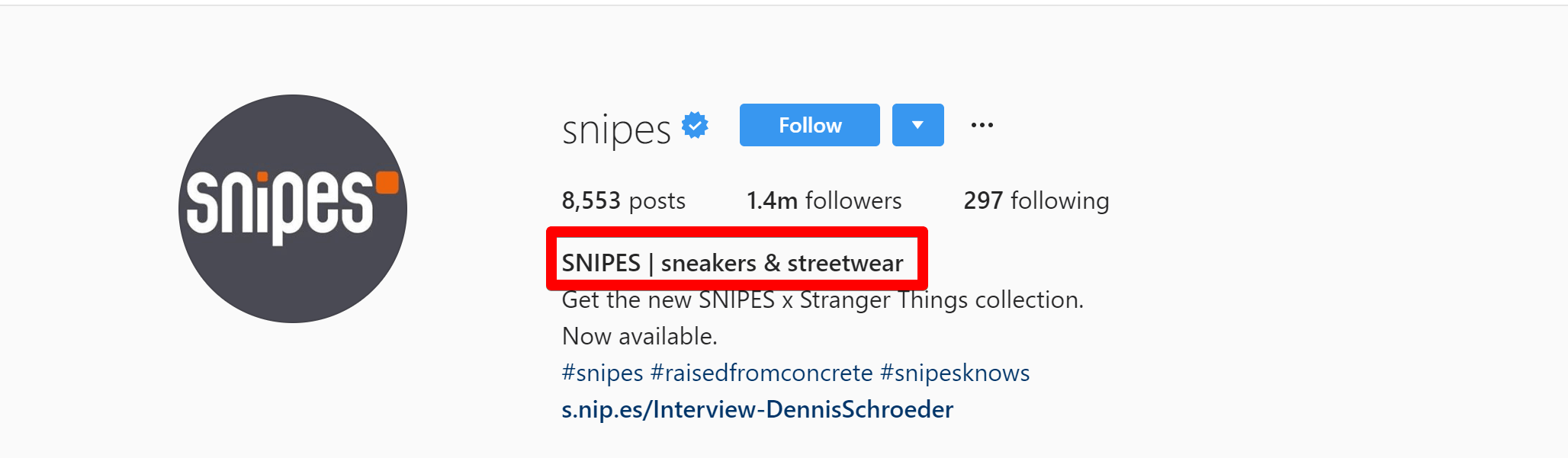a screenshot demonstrating big players add their niche keywords to Instagram bio