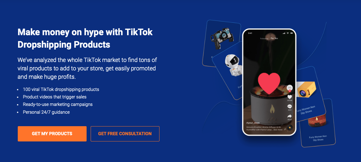 banner AliDropship TikTok products