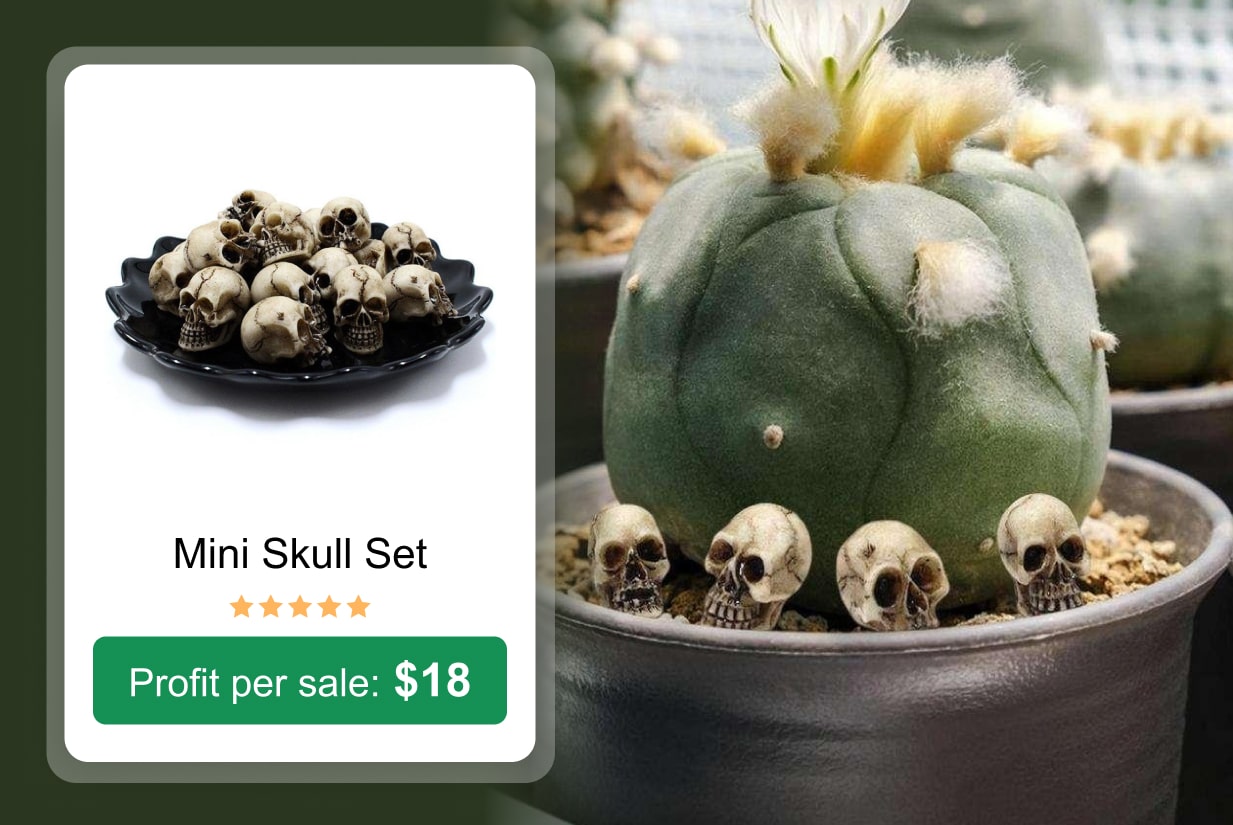 Mini Skull Set