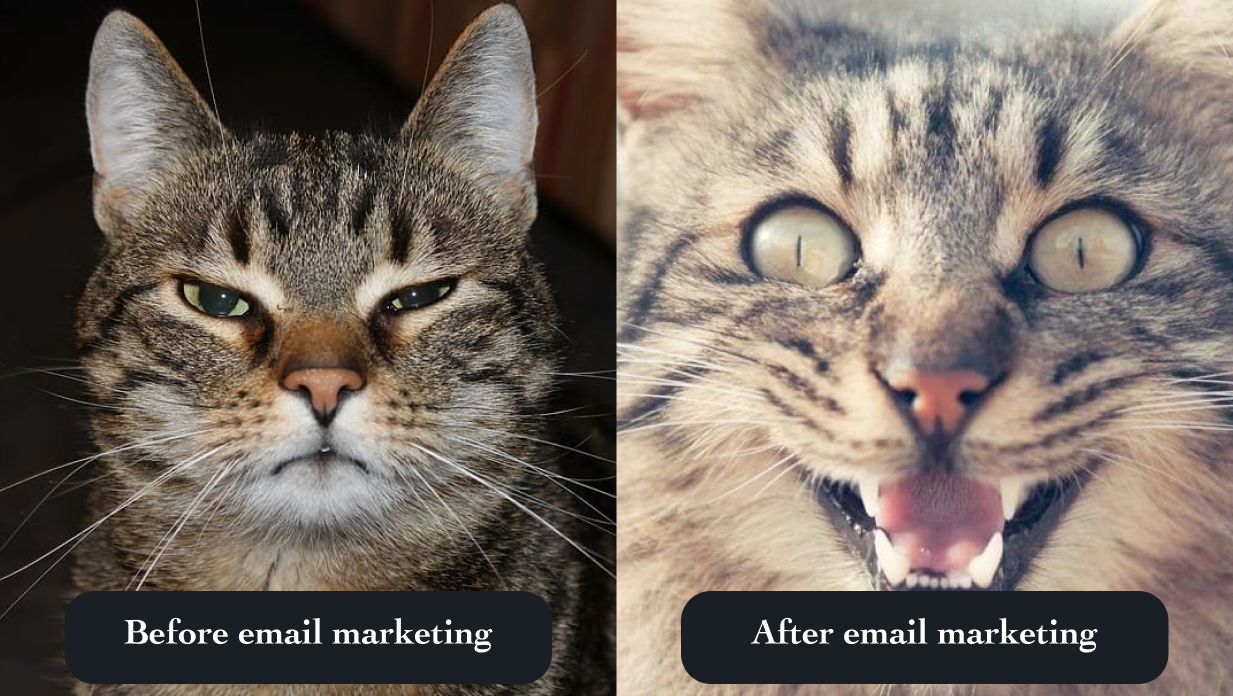 Email marketing