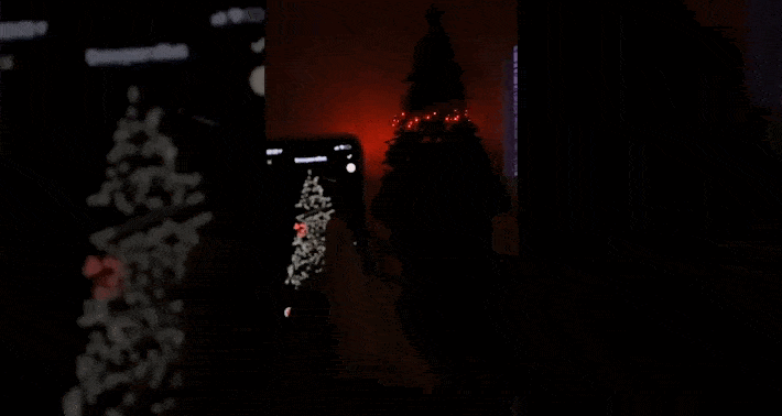 Turn your TikTok & Instagram into sales machines!