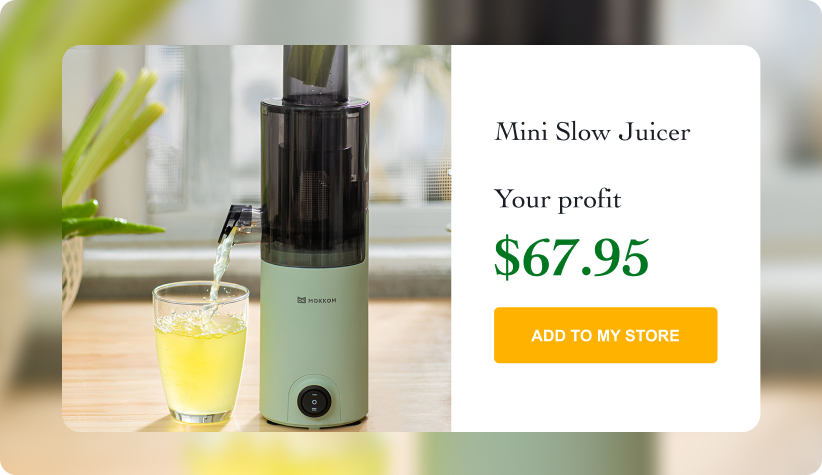 Mini Slow Juicer