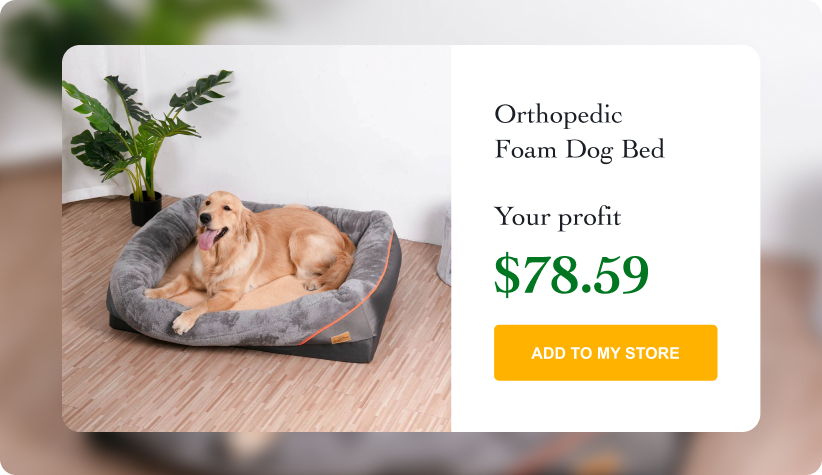 Super Soft Orthopedic Foam Dog Bed
