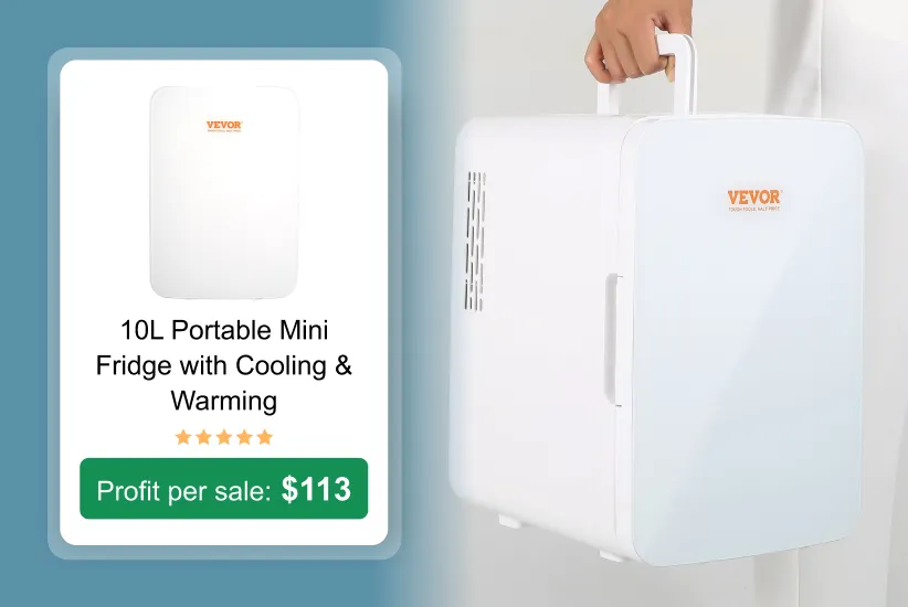 10L Portable Mini Fridge as a trending product to sell