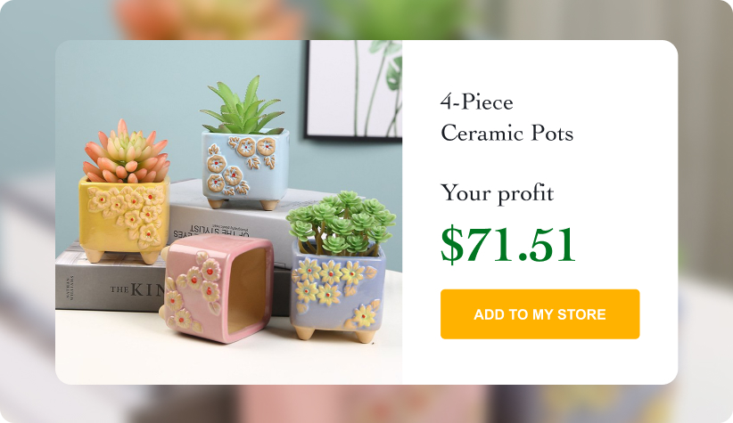 4-Piece Ceramic Pots