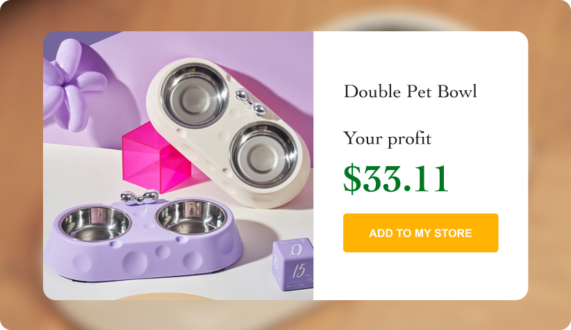 Double Stainless Steel Pet Bowl
