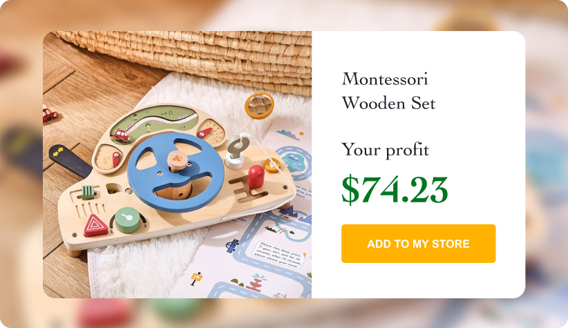 Montessori Wooden Set