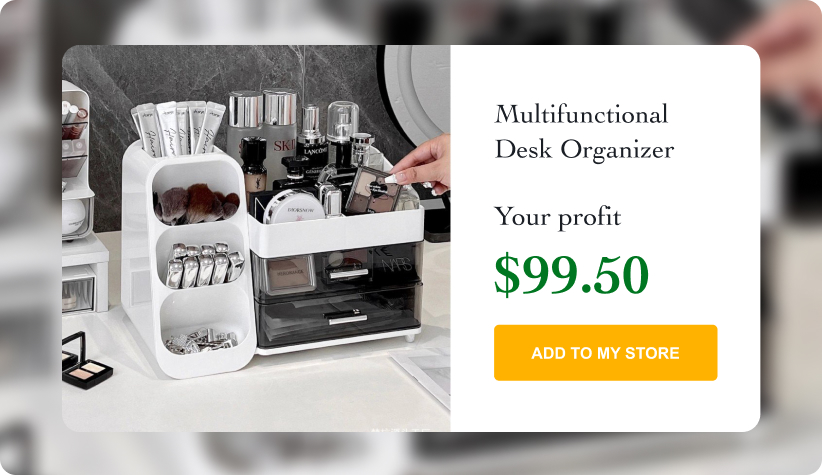 Multifunctional Desk Organizer