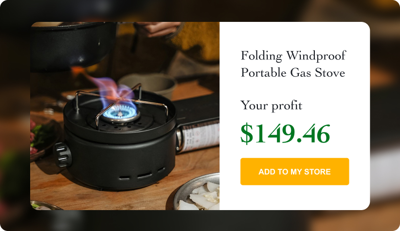 Portable Gas Stove