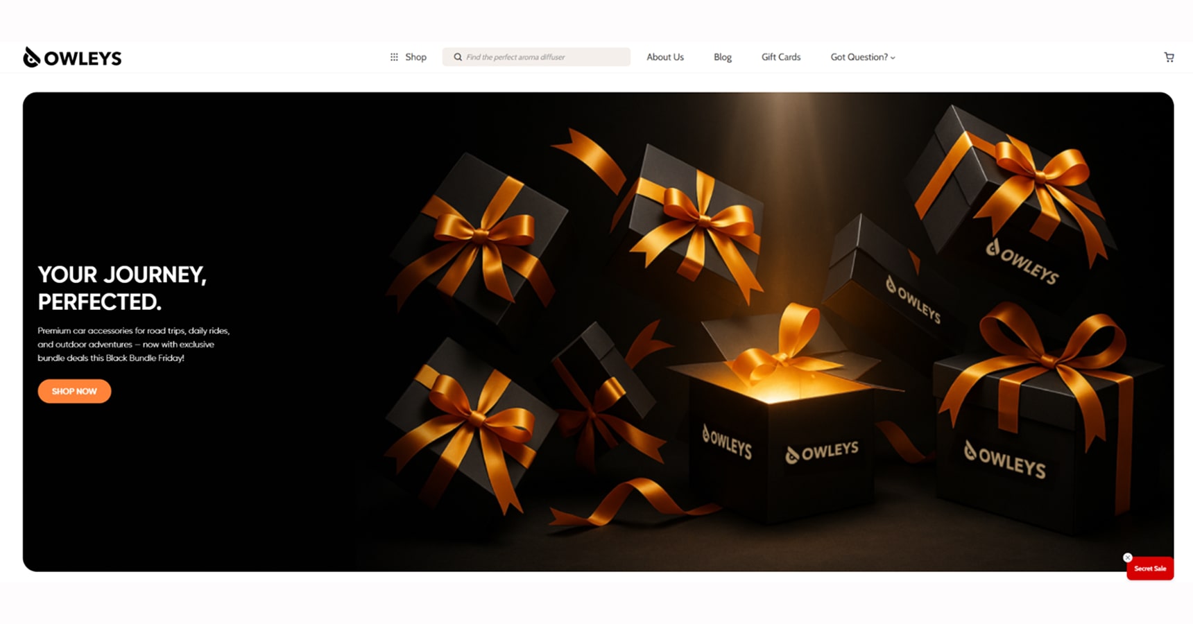 Online business idea: Owleys.com