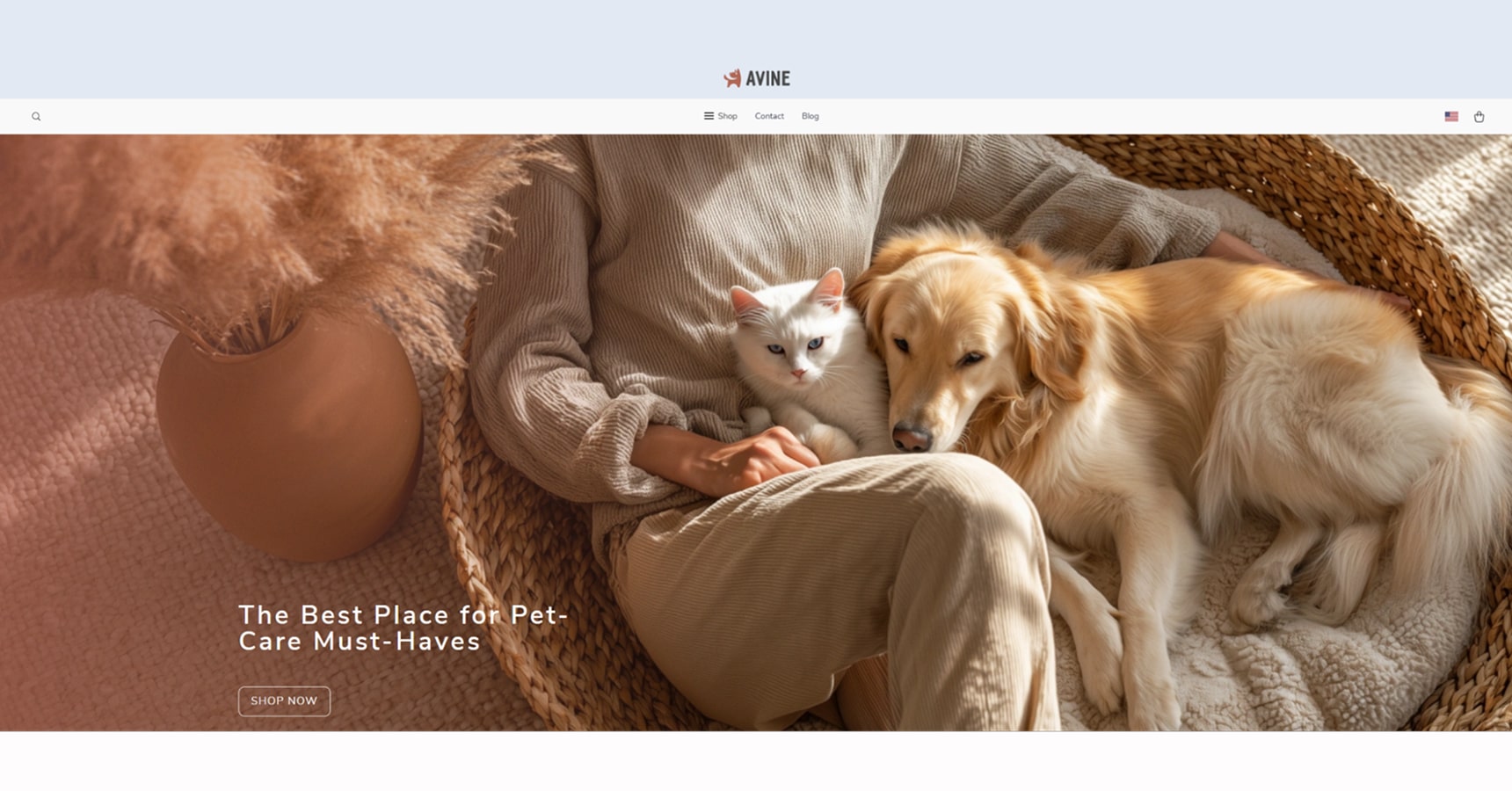 Online business idea: Avine.site